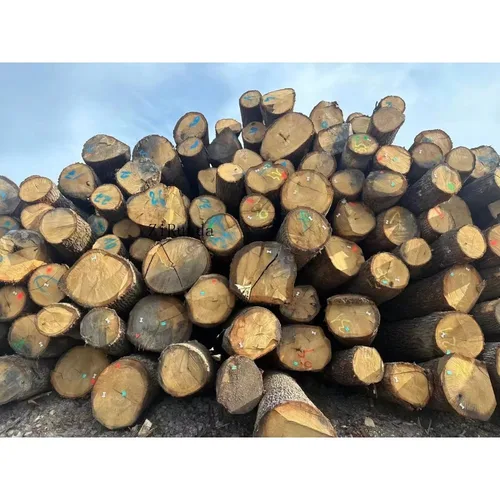 Parquets de sol et accessoires