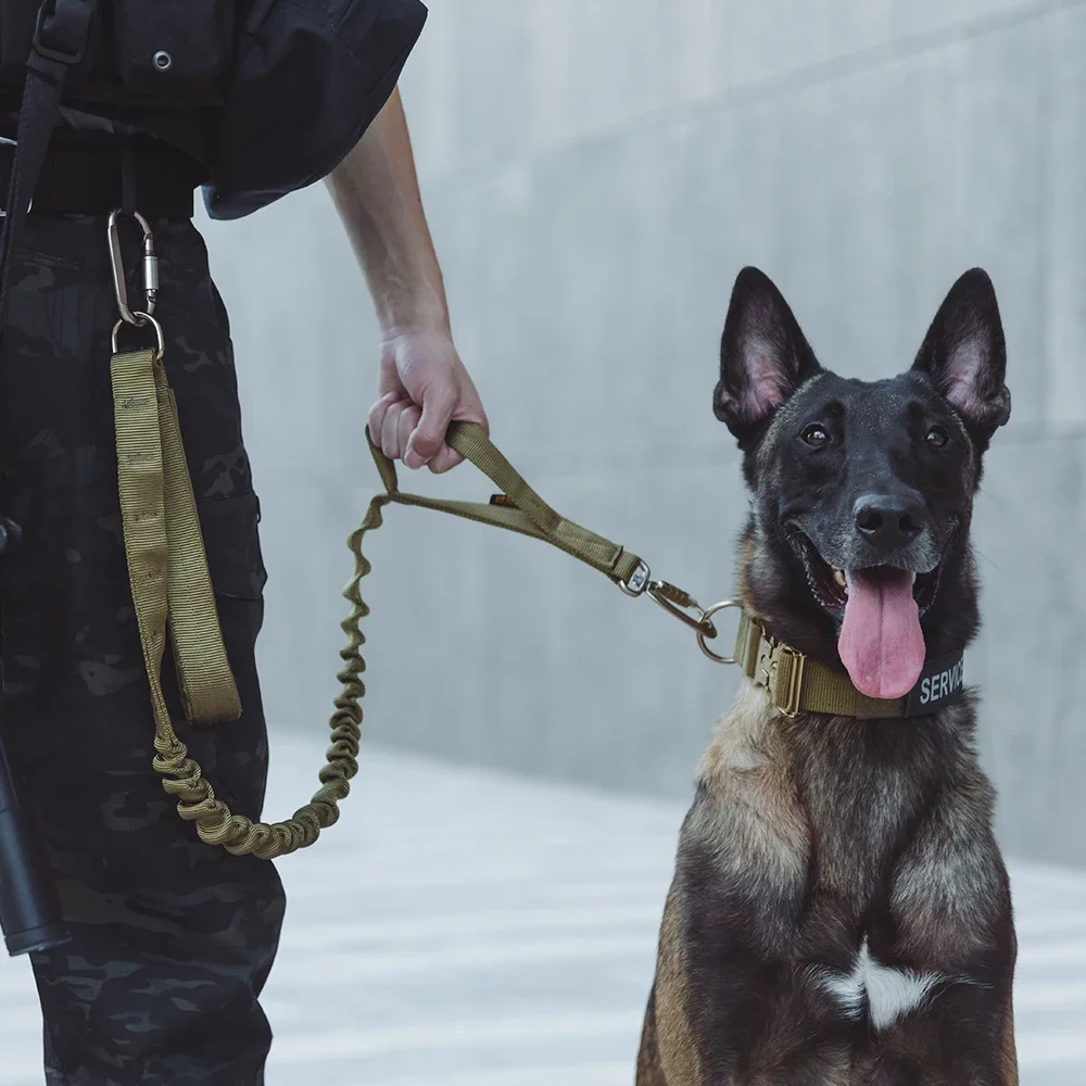 Correa táctica para perros, correas elásticas para perros, correa de nailon duradera para perros medianos y grandes, suministros para entrenamiento y paseo de perros al aire libre