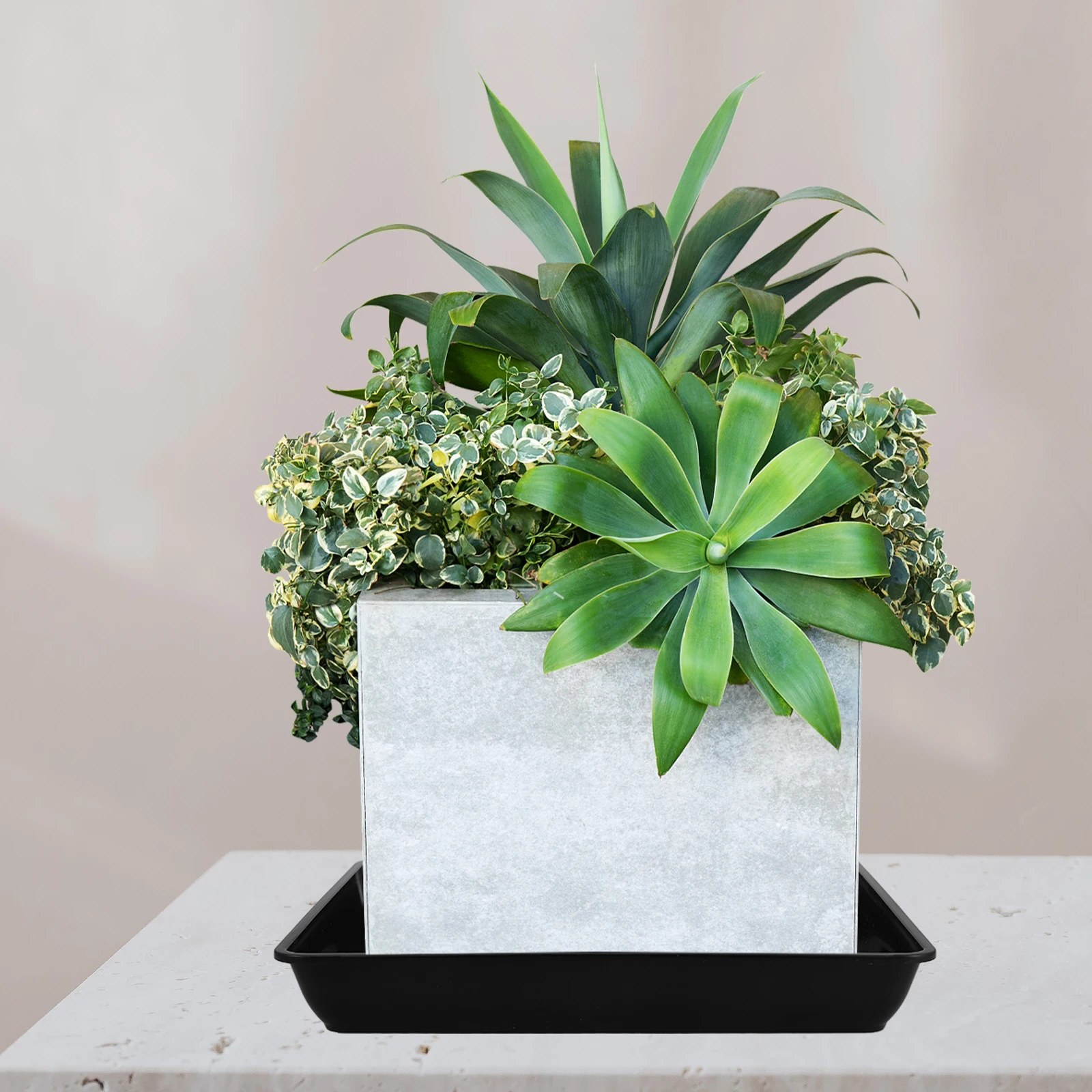 

6 Pcs Square Plastic Planter Trays Flower Pot Saucer Water Absorber Drip Pans Lightweight Easy Clean Protect Floor Prevent