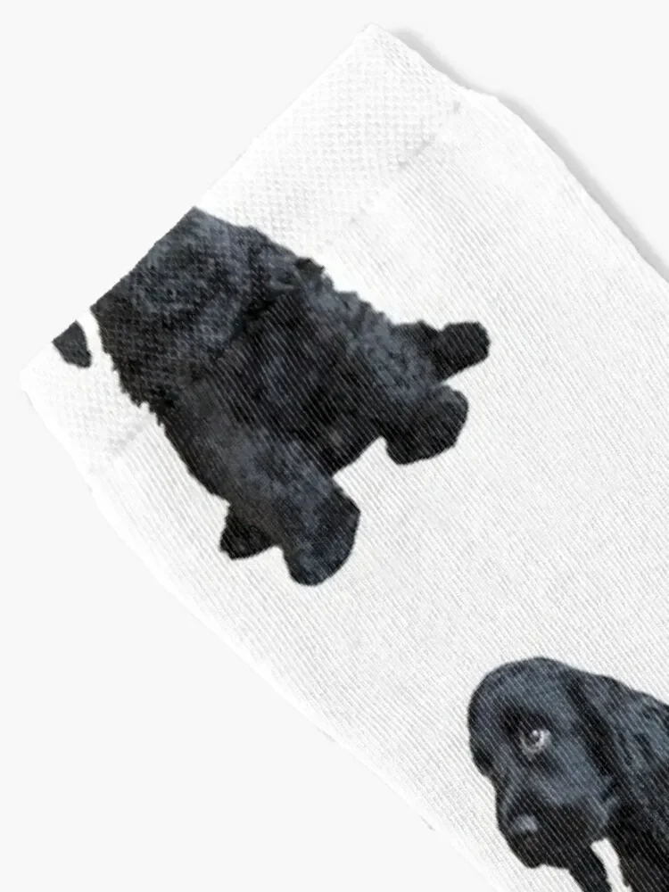 English Cocker Spaniel Cute Black Puppy Dog Socks funny gift christmas stocking kawaii Children's Women's Socks Men's