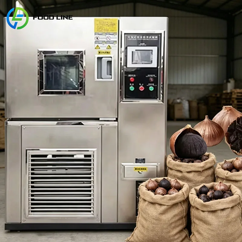 Black Garlic Fermentation Machine Fermenter Aging Cabinet Maker SS Steel Customized