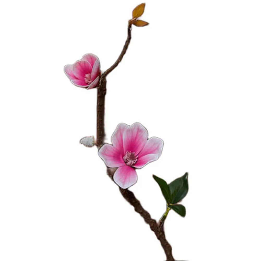 White Pink Rose Artificial Magnolia Flower for Nursery Decor Wedding Decoration Photo Shoot Prop 42cm with Adjustable Stem