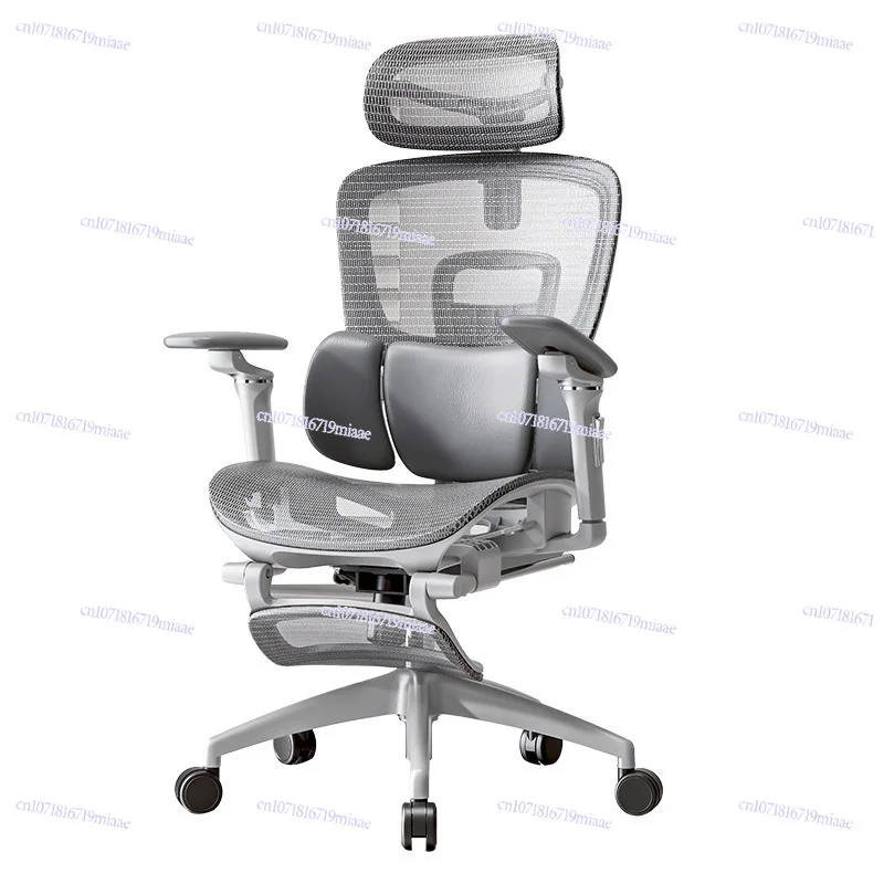 

Ergonomic Office can lie down for a long time without getting tired Computer Waist back rotating