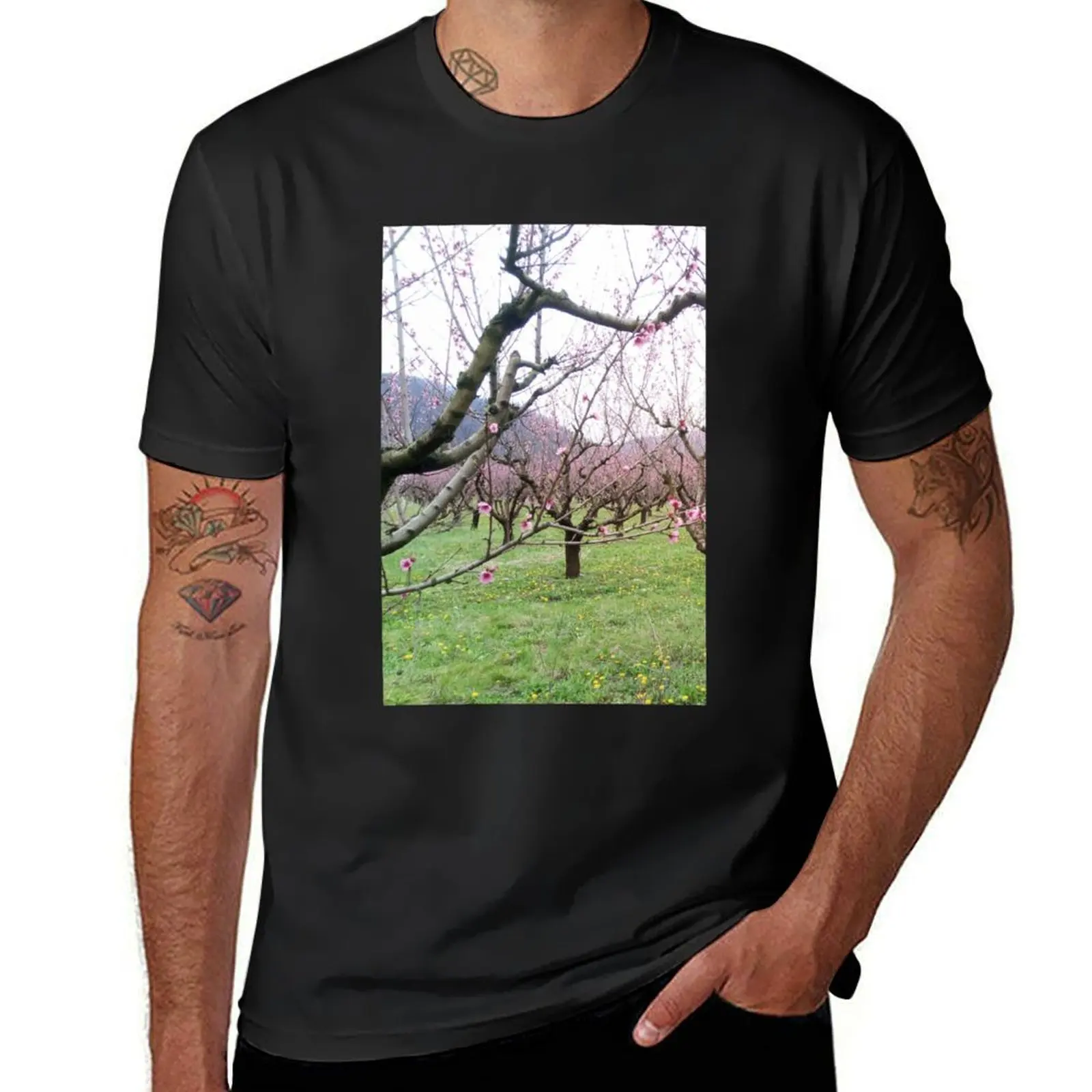 

Spring, peach blossoms T-Shirt oversized tees sublime oversizeds Men's t shirts