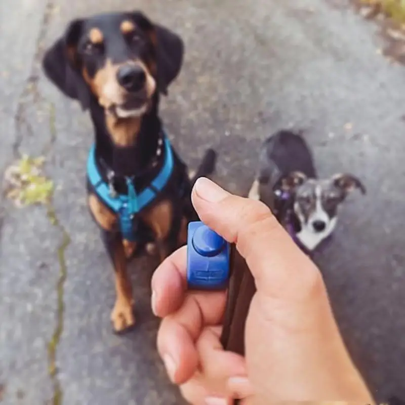 Thumbnail 4 - #16 Trending Pet Training Clicker Right Now