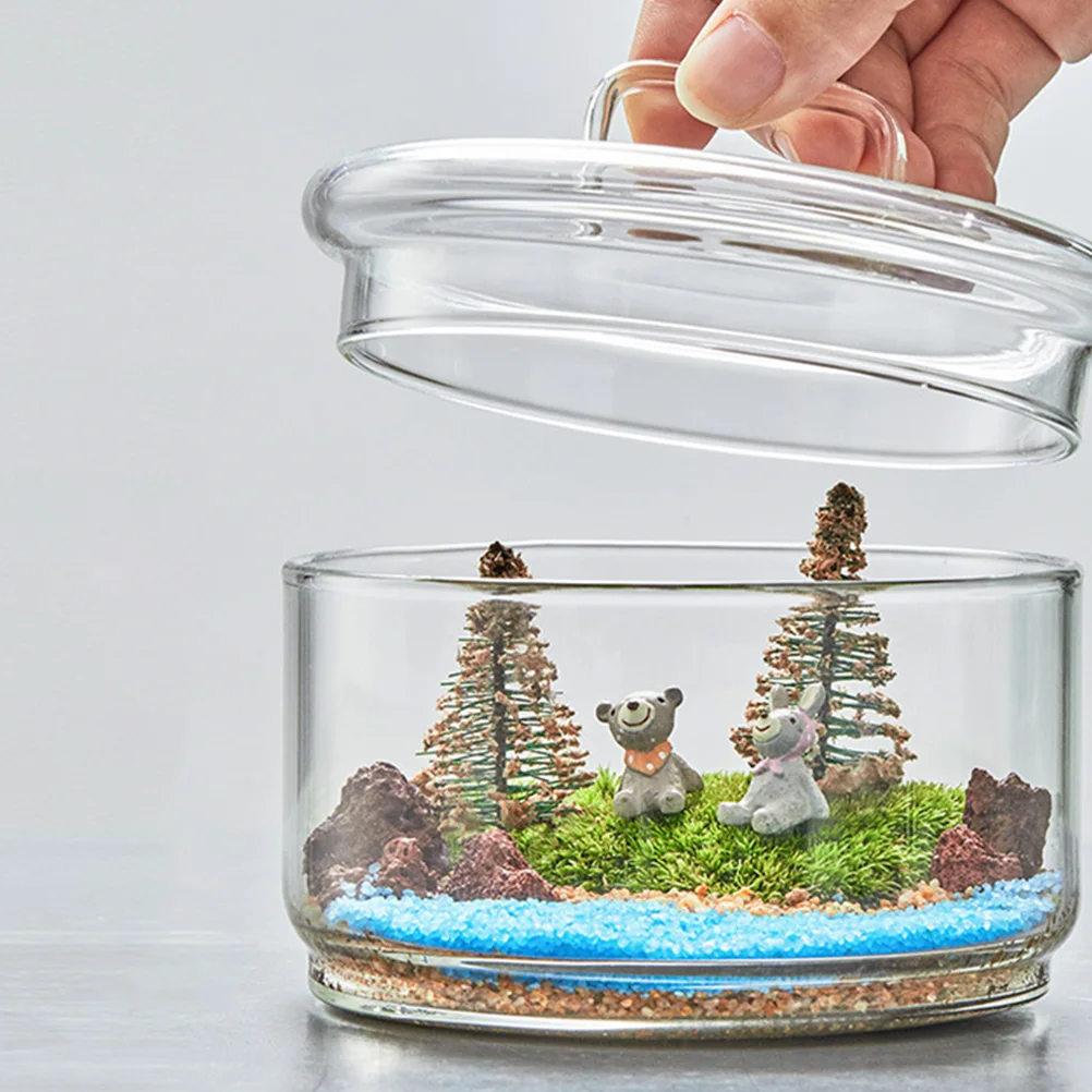 

1Set Micro Landscape Bottle Small Ecological Glass Container Transparent for DIY Plant Terrarium Table Decoration