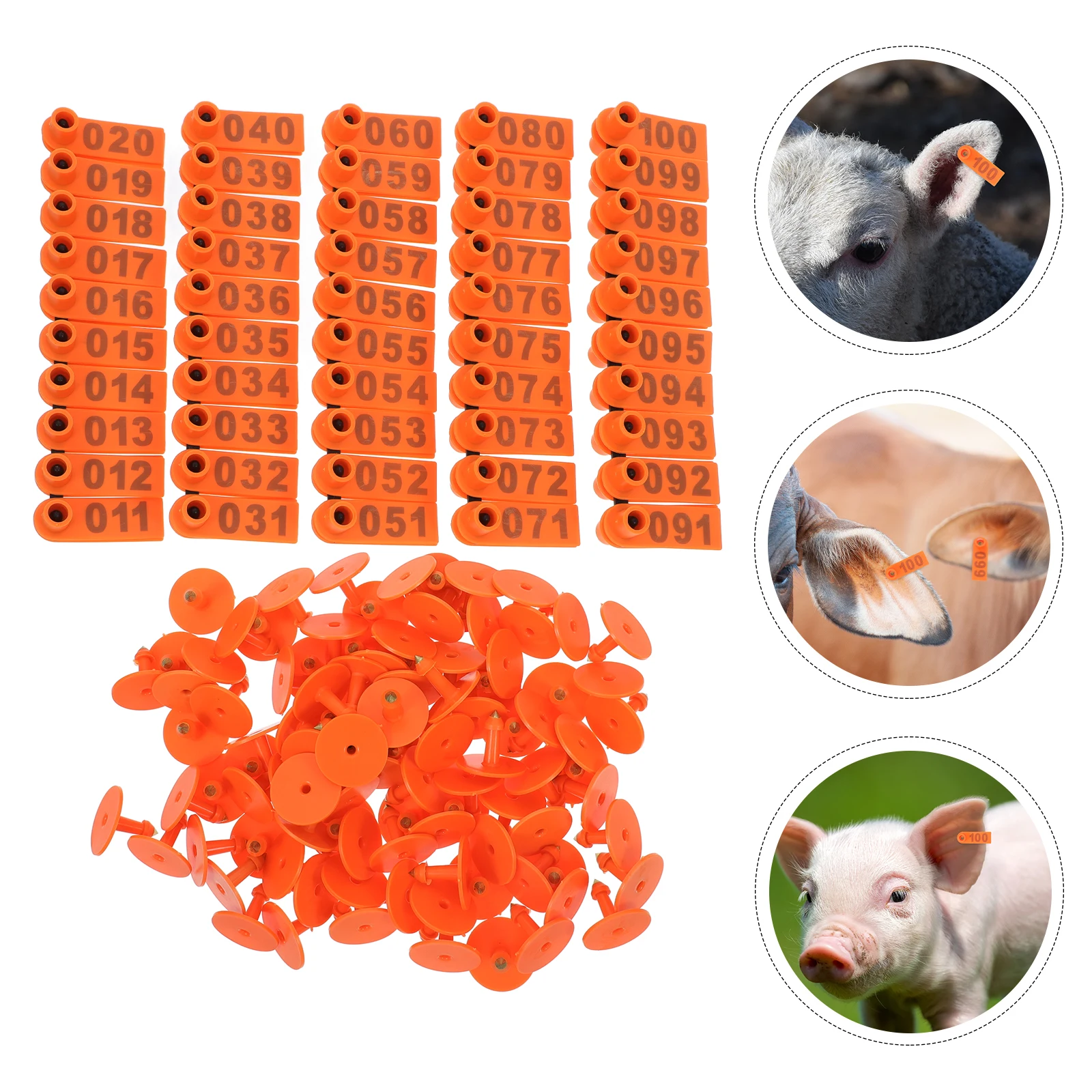 Farm Animal Supplies