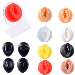 Simulated Silicone Ear Nose Navel Nipple Model Stereoscopic Puncture Training Piercings Jewelry Display Teaching Tool Stand Kit