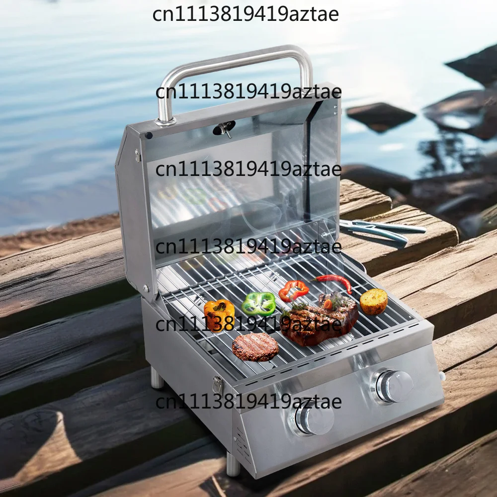 Portable Stainless Steel Gas Grill 2 Burners Tabletop Barbecue Gas Grill for Camping Outdoor