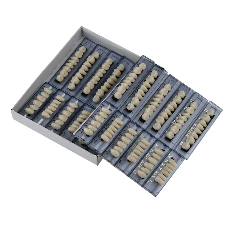 168 stks/doos Tandheelkundige Materialen Prothese Valse Tanden Model Hars Kunstgebit Tandarts Lab Gereedschap