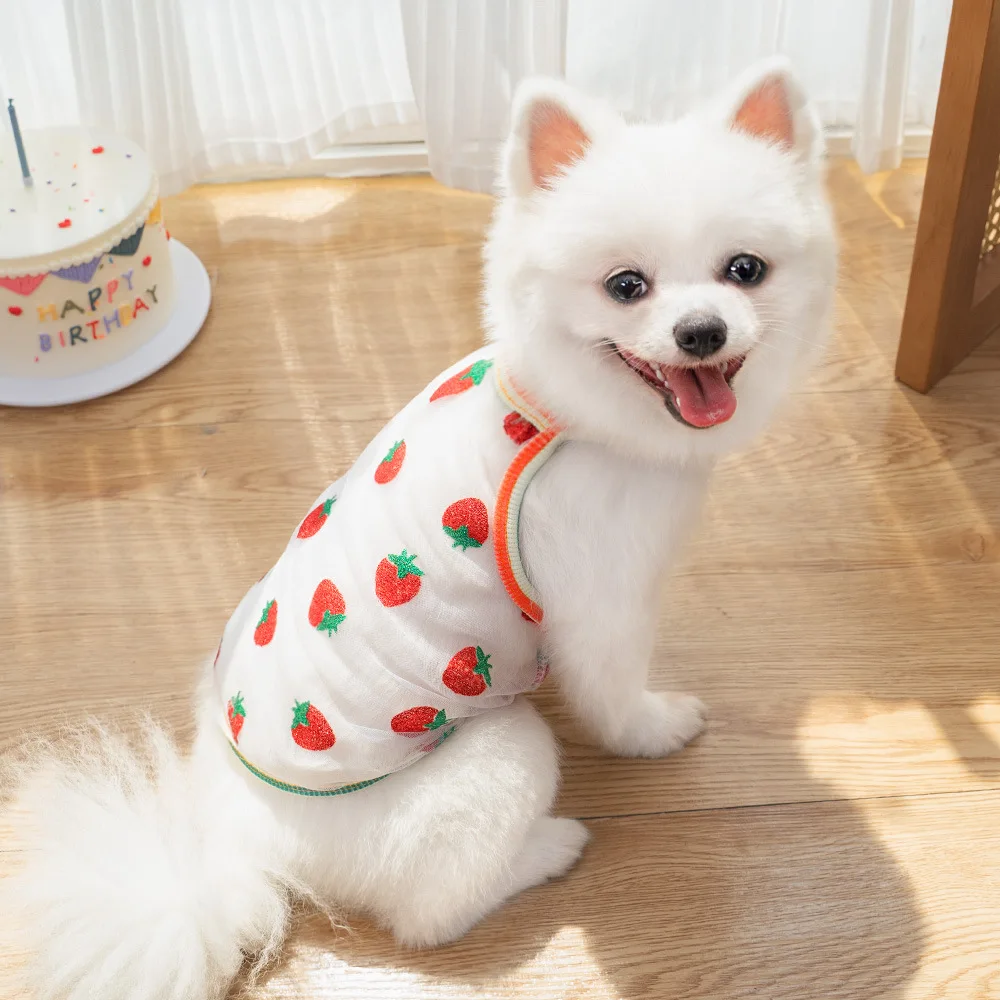 Ultra Thin Dog Cooling Vest Breathable Clothes Pet Clothes for Small Dogs Cute Fruit Print Summer Puppy Cat Cheap T-shirt