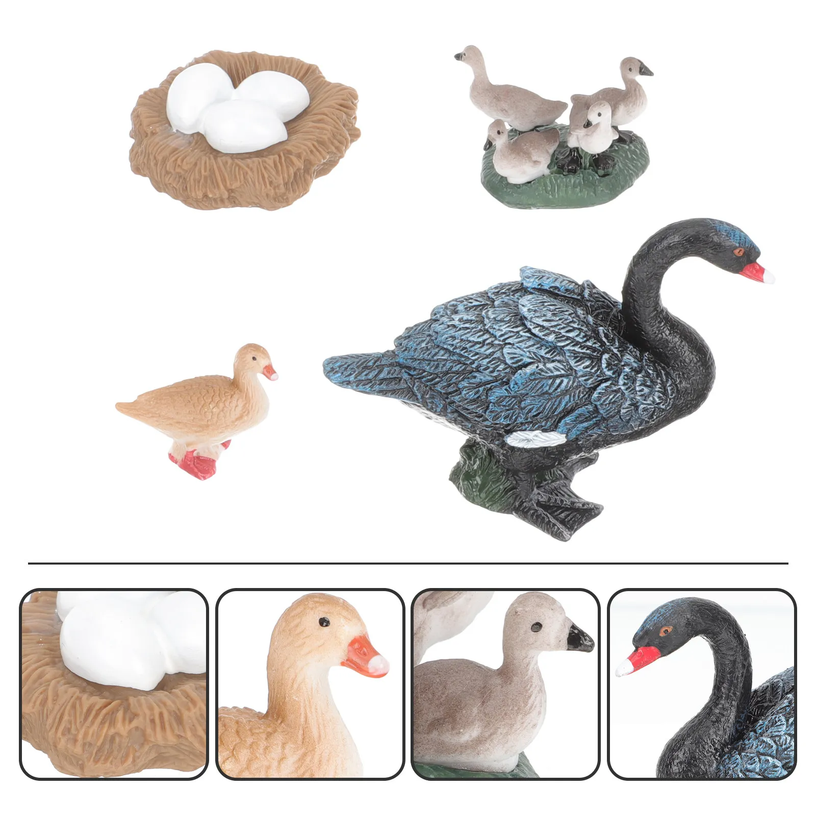 1Set Ocean Animal Growth Cycle Swan Learning Kit Educational Cognitive Swan Life Cycle Nature Exploration Kids Biological