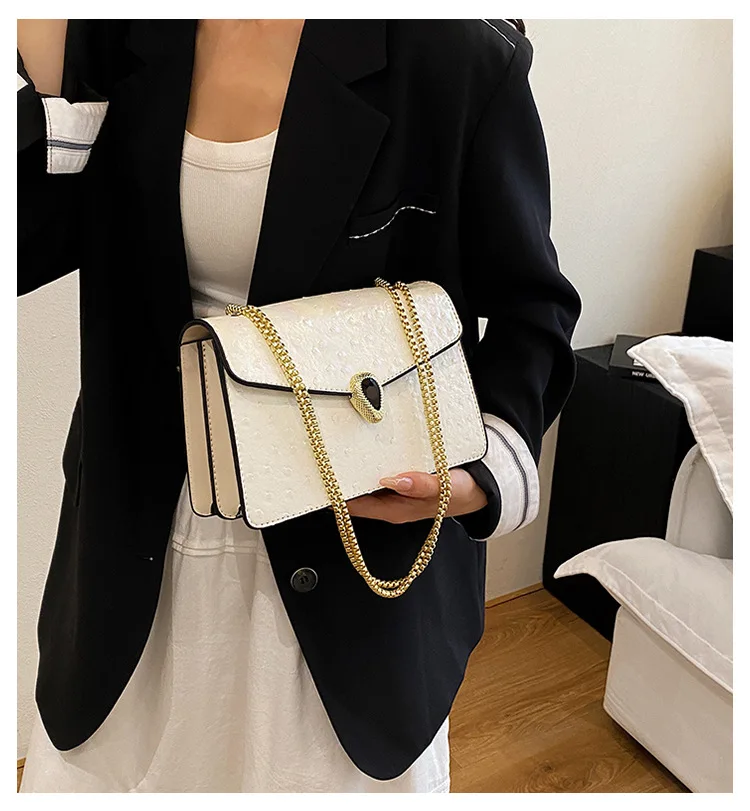 

‌2025 New Snake Print Crossbody Bag, Textured Vegan Leather Box Bag with Chain Strap for Women, Retro Chic Evening Party Purse