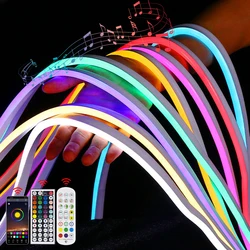 Tira de luces LED de neón con Control remoto por voz, cinta de luz inteligente con WiFi, RGB, música, silicona, regulable, Bluetooth, 12V