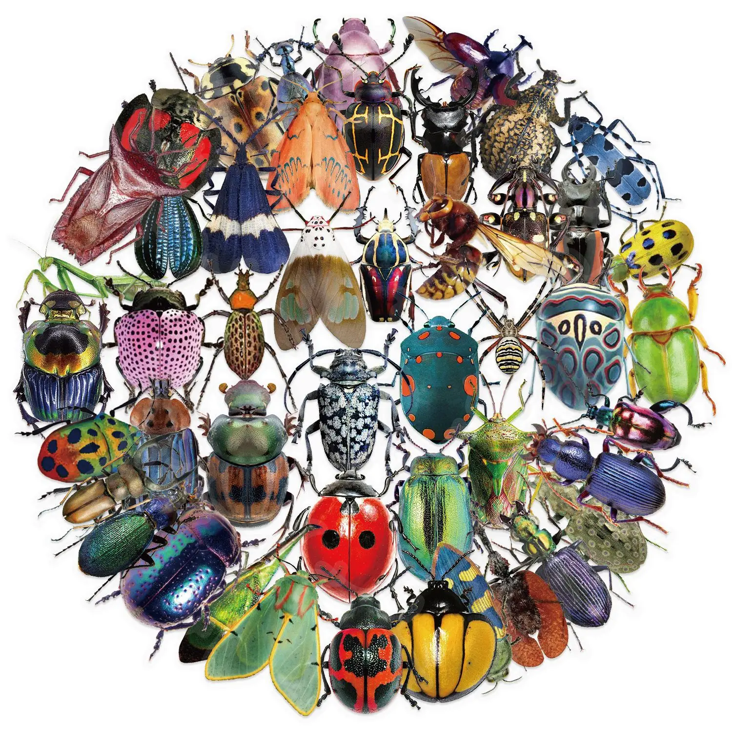 

10/30/50PCS Kawaii Exquisite Cartoon Insect Beetle Waterproof Clear PET Stickers for Water Cup Computer Notebook Stationery
