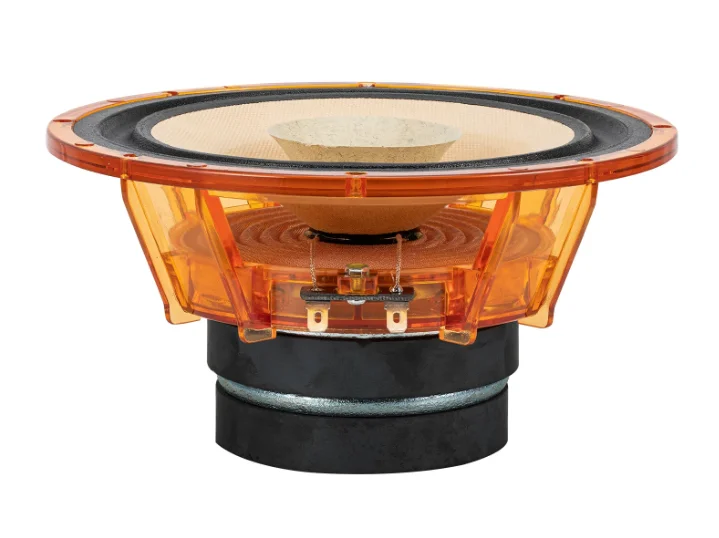 1 Pair F6S 6.5 Inch for Lii Song Full‑Range HIFI Speaker Driver 20‑40W 8Ohm Dual Magnet for Tube Amplifier DIY Bookshelf Speaker