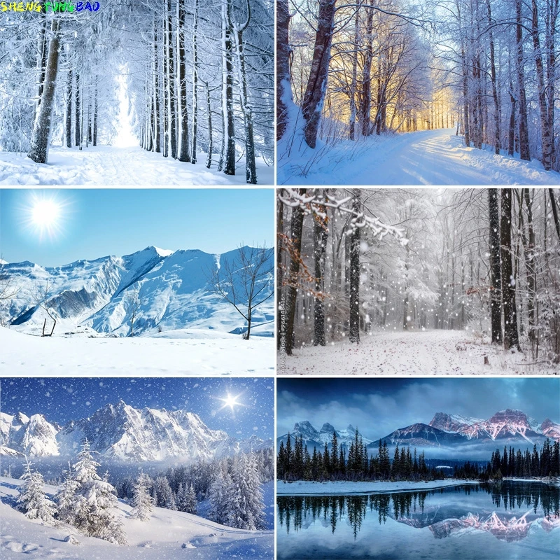 

Snowy Path Winter Scenery Forest Birch Photography Backdrops Props Mountains Winter Landscape Photo Studio Background HJ-02
