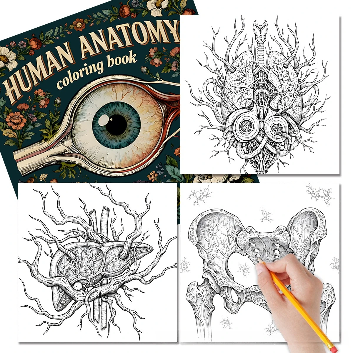 Human Anatomy Coloring Book 24 Pages Detailed Medical Illustrations for Students Nurses Stress Relief Learning Gift