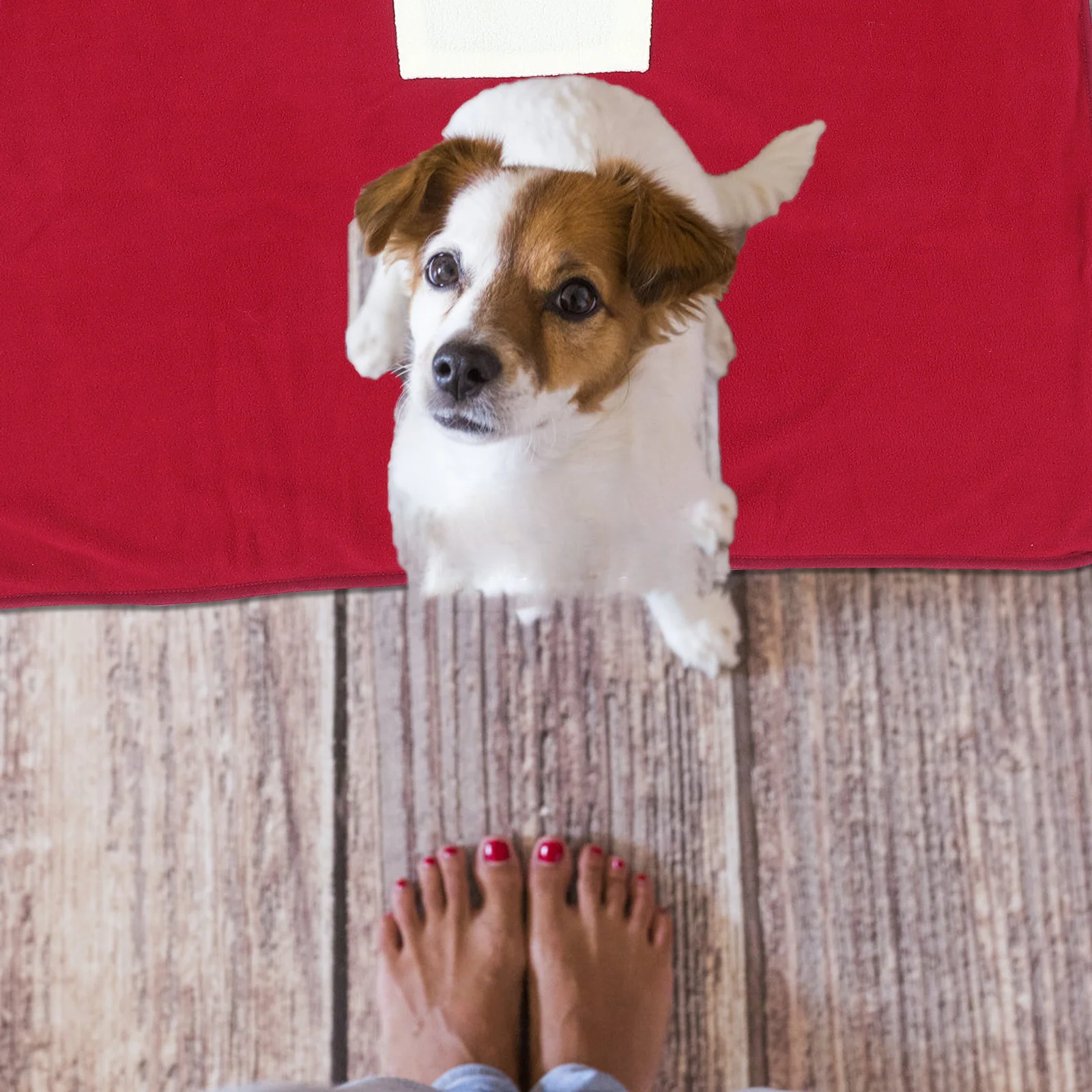 

Pet Electric Heating Pad USB Warm Mat for Cats Dogs Indoor Use Soft Washable Surface Ideal for Cold Weather Protection