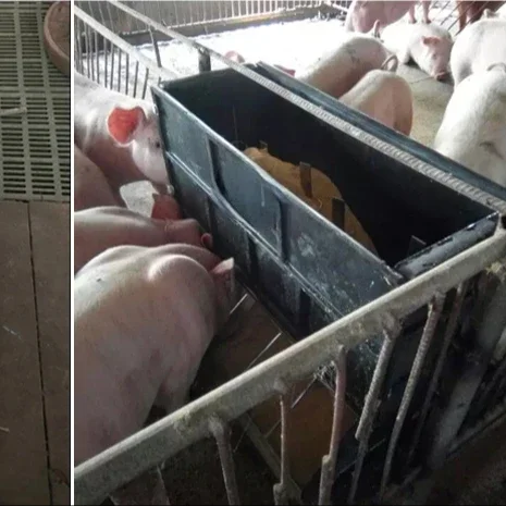 Factory Price Piggery Farm Equipment Plastic Double Side Dry Pig Feeder and Drinker Trough