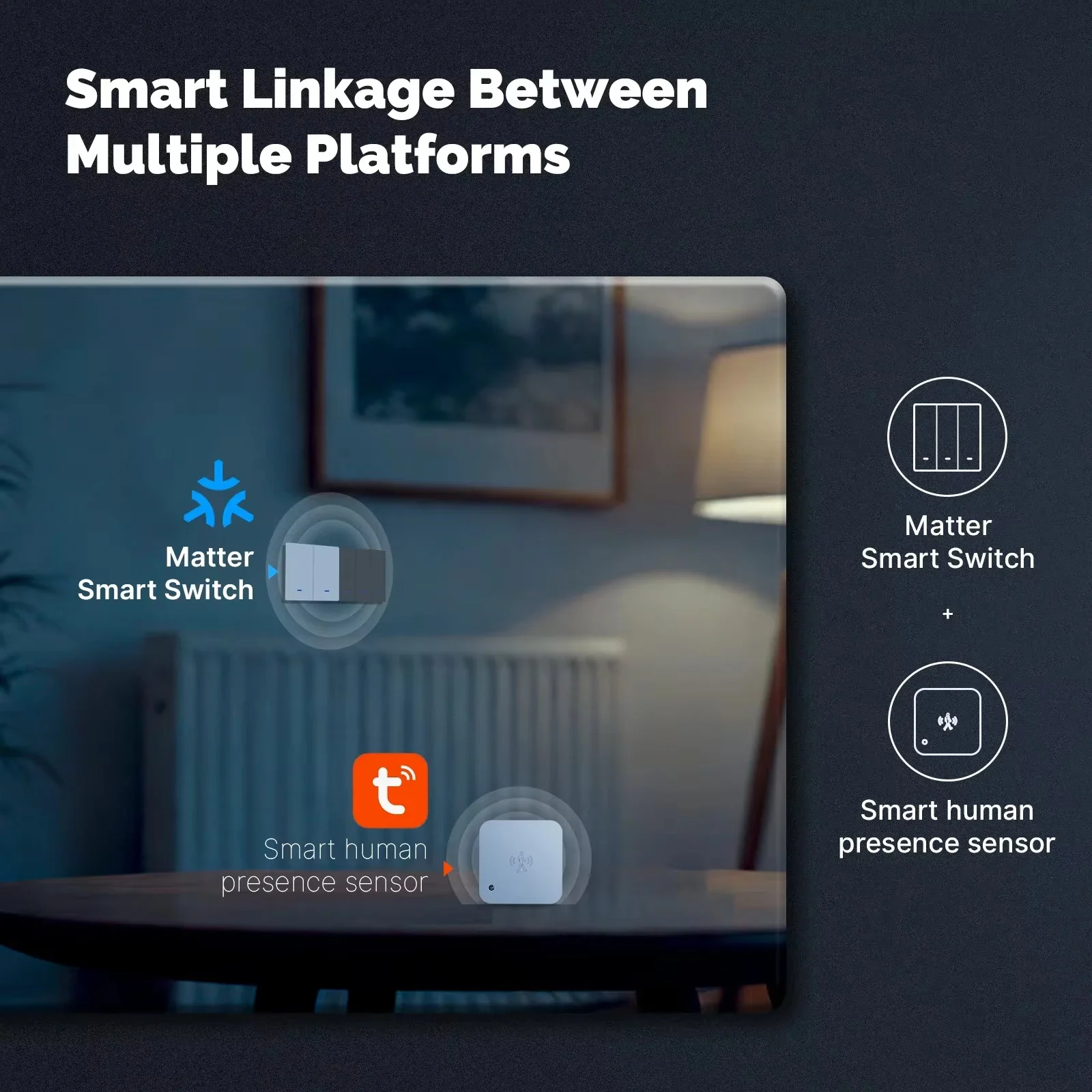 MOES Matter Tuya WiFi Smart Light Button Switch EU Verison Remote Control Work With Alexa Google Home Apple Homekit Smartthings