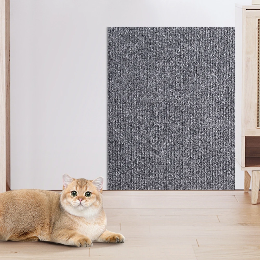 Thumbnail 2 - #55 Best Rated Cat Beds to Buy in 2026