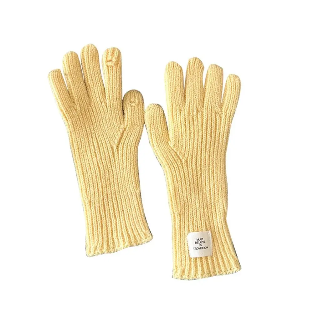 Touch Screen Gloves Knitted Gloves Fashion Candy Colored Solid Color Long Mittens Warm Wool Winter Velvet Gloves Riding