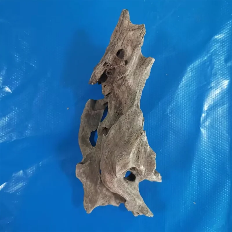 Aquarium Lanscaping Drift wood Shrimp Wood Natural Wood for the Fishtank Aquascaping Betta Fish Tank Landscaping Driftwood Art