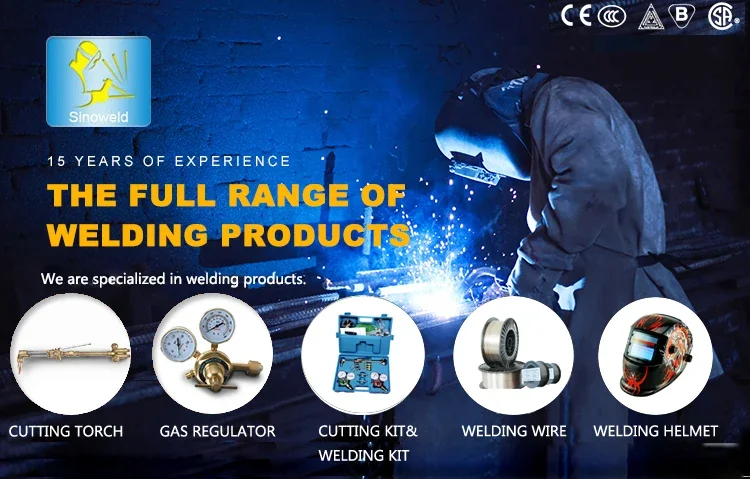 Stainless Steel Welding Machine Argon Welding Machine Ac Dc Pulse Tig Welder TIG 200 PACDC