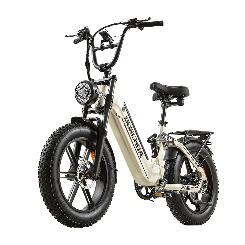 

48V 1000W High-Performance Lithium-ion Battery City Bicycle, 45km Long-Distance Commuting Electric Bicycle