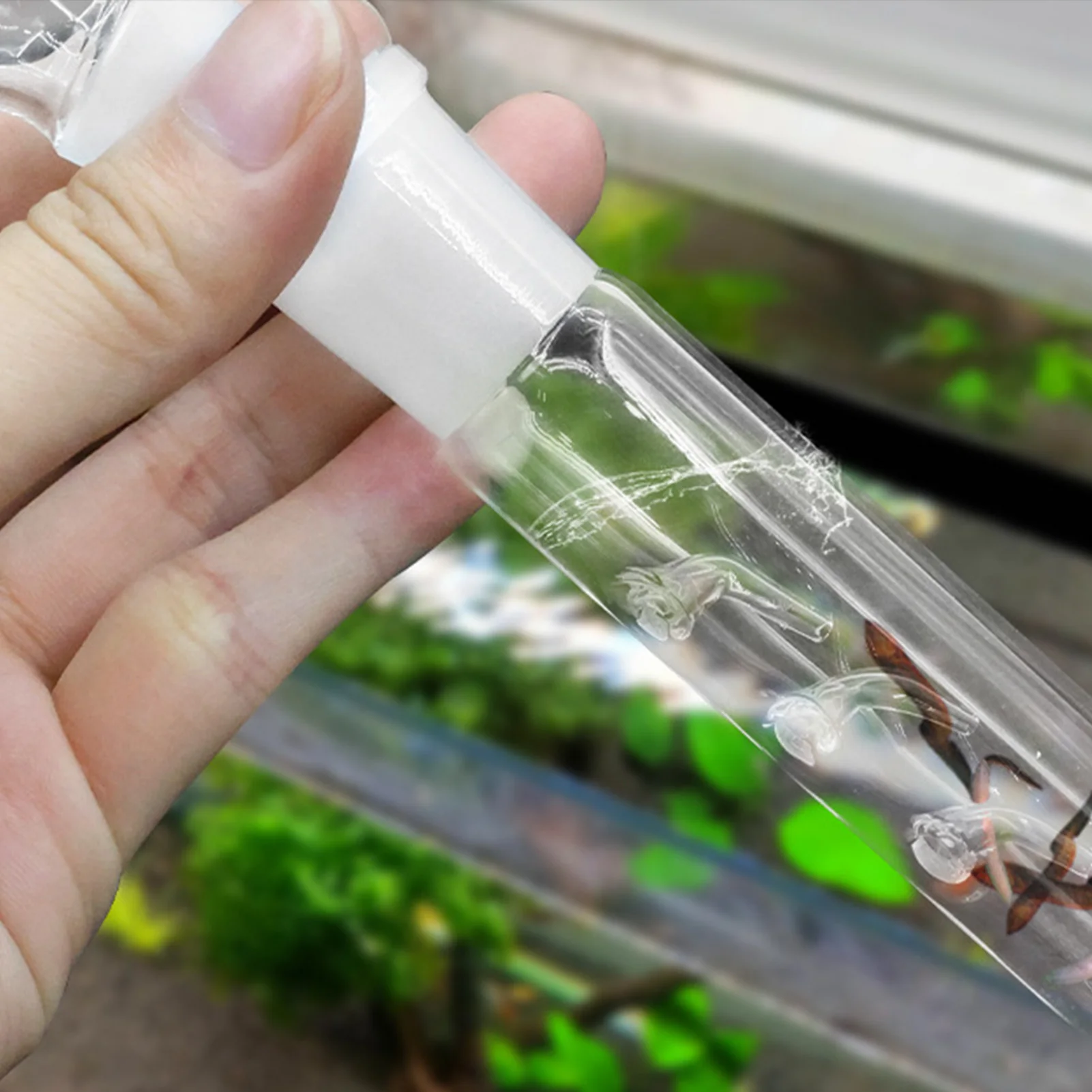 Glass Planaria Trap Tube Leeches Catcher Portable 3 Holes Aquatic Planarian Leech-Trap Clear Tubes for Dwarf Shrimp for Tank