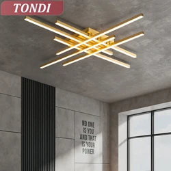 Lusters Ceiling Light Suitable For Living Room Bedroom Dining Room Kitchen LED Chandelier Hanging Lamp Interior Decoration