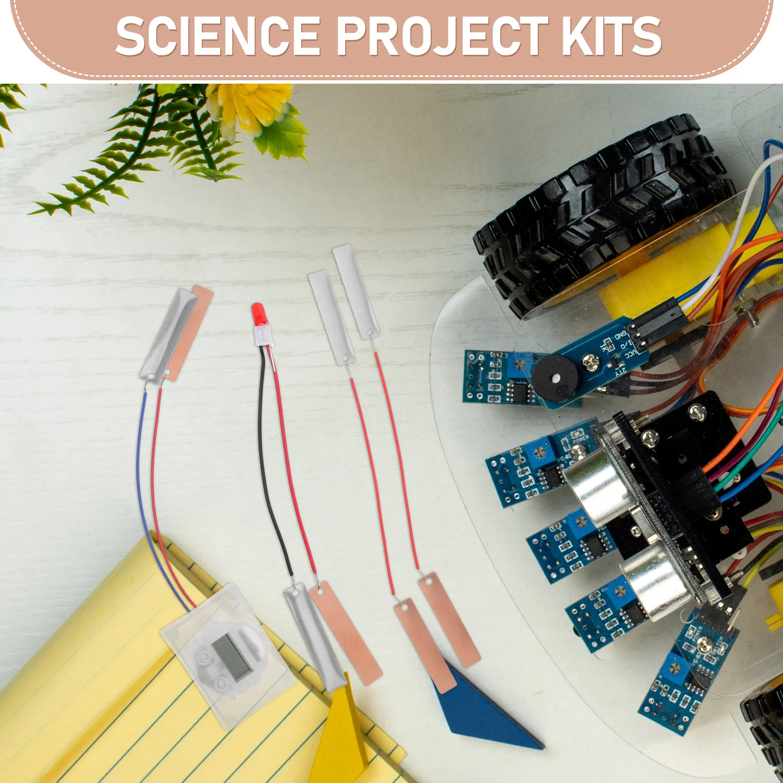 1 مجموعة الفاكهة البرتقال الليمون البطاطس الفيزياء تجربة العلوم التدريس مشروع تعليمي مجموعة الساعة الإلكترونية