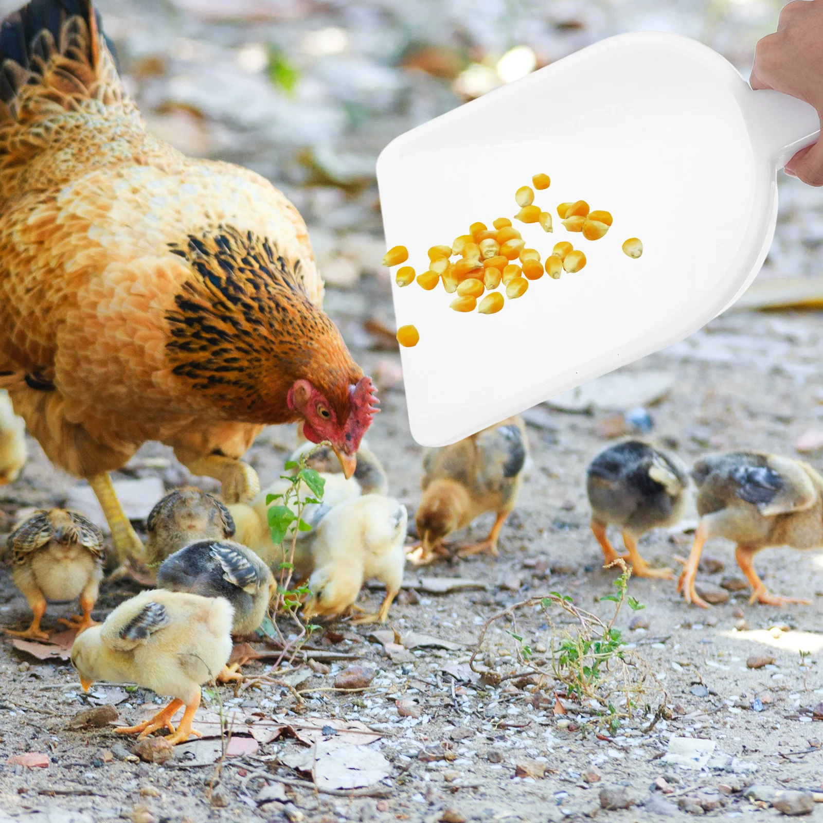 

Plastic Feeding Shovel Large Capacity Durable Farm Scoop Poultry Feed Tool Hanging Hole Garden Shovel Utility Scoop