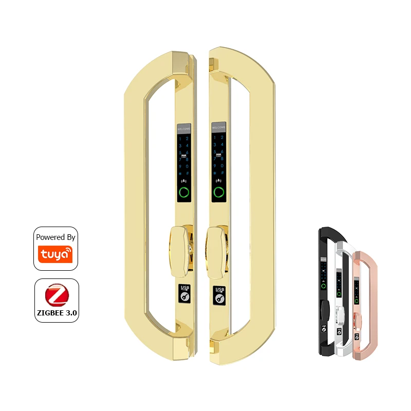 euro style traditional fingerprint lock tuya wifi double sided smart lock fingerprint Dtype multi-function combination lock