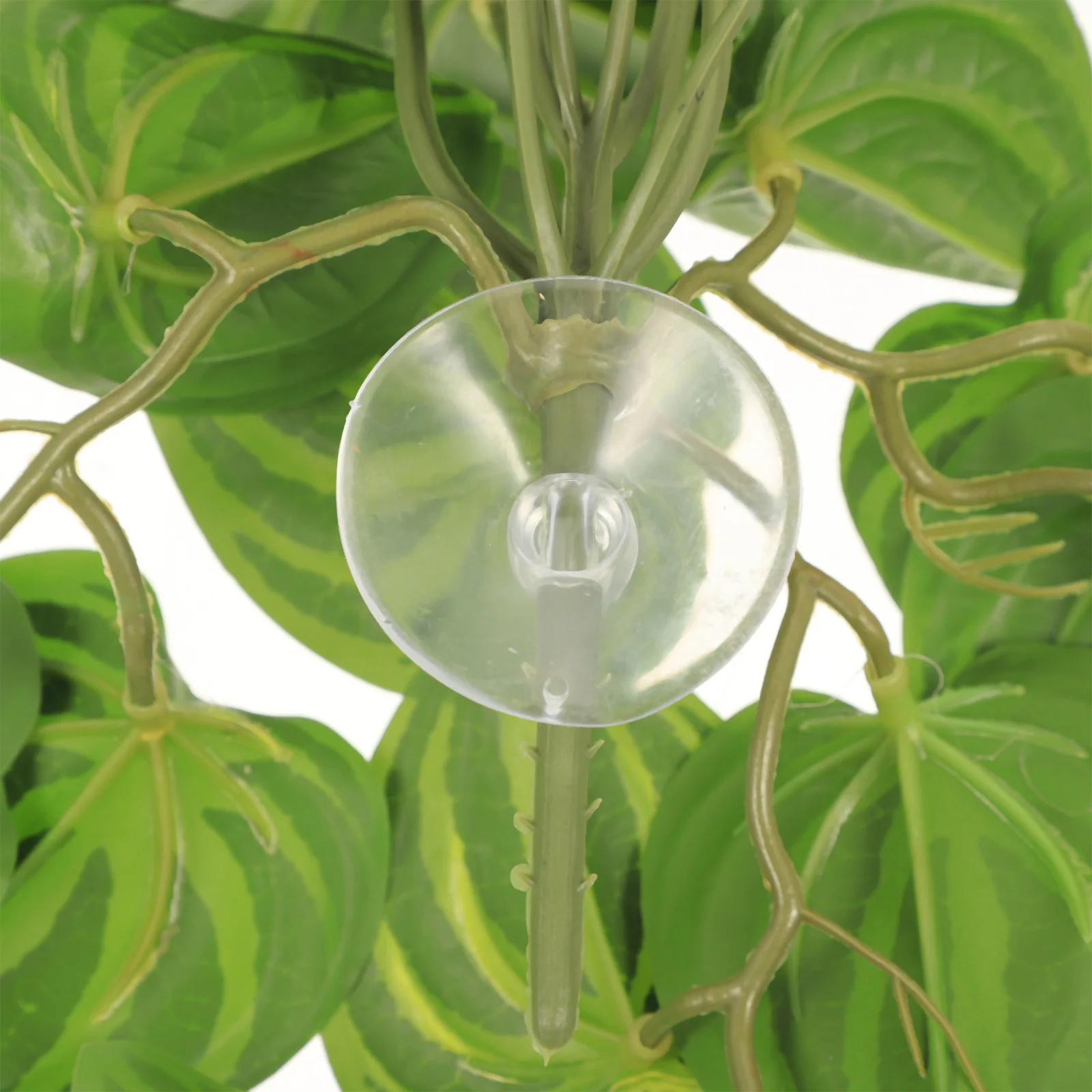 

Reptile Tank Plants For Aquarium Landscaping Decor Reptile Box Ornaments Simulation Plant Decor Terrarium Fish Tank