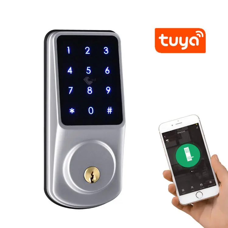 Tuya-電子キーレスエントリーロック,wifi,屋外ドア,ttlockアプリ,タッチパッド,リモートコントロール,デッドボルトスマートロック