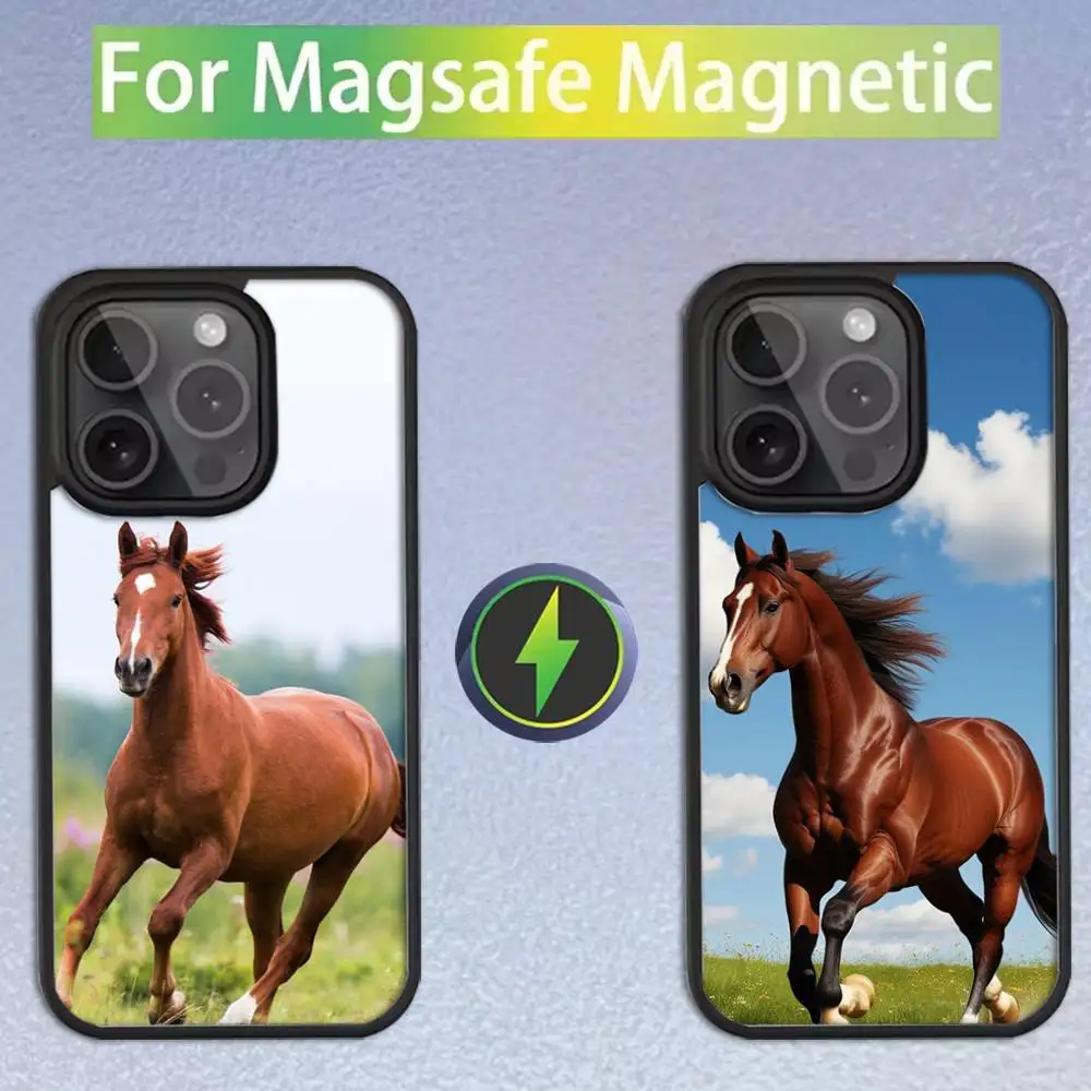 

Horse Animal Phone Case For iPhone 17,16,15,14,13,12,11,Pro,Max,Plus,Mini,SE Magsafe Magnetic Wireless Charging