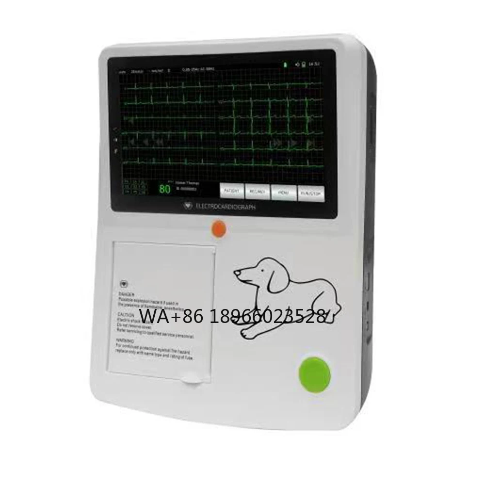 Pet machineVeterinary electrocardiogram machine