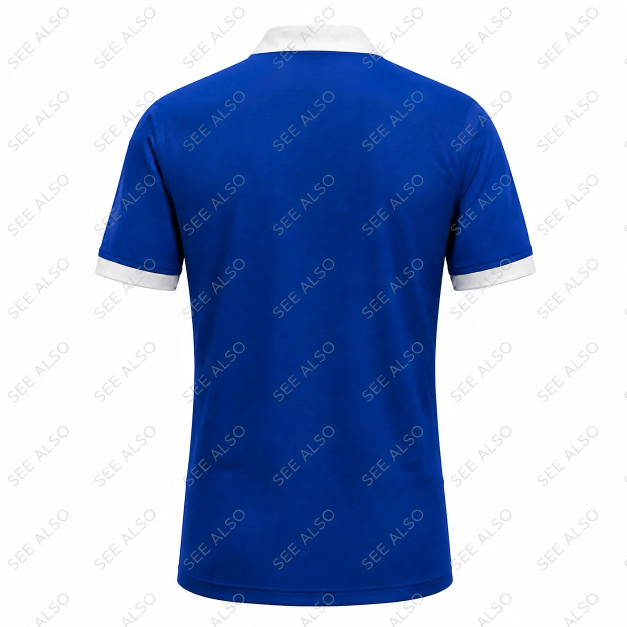 26/27 Herren Damen Kinder Castres Olympique Heim-Rugby-Trikot Blau Weiß Polokragen Kurzarm Fan-Sport-Trainings-Oberteil – Detail 4