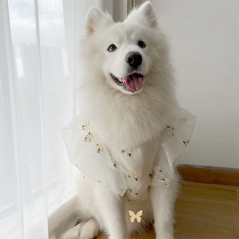 Pet Dog Medium Large Dogs Spring Summer Clothes Thin Wedding Suit Wedding Dress Satsuma Golden Hair Hat Large Dog Dress