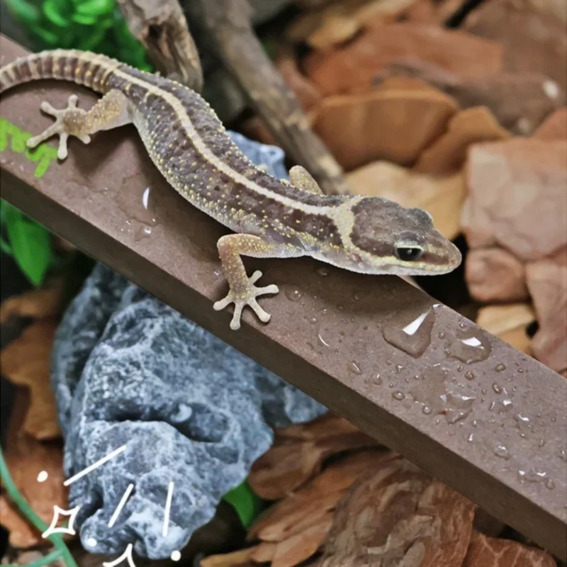 1 Stück DIY zuschneidbarer Schaumstoff-Kletterstab Reptilienzweig für gekräuselten Gecko, Leopard, Eidechse, Spinne, Terrarium, Tank, Habitat-Dekorblöcke – Detail 6