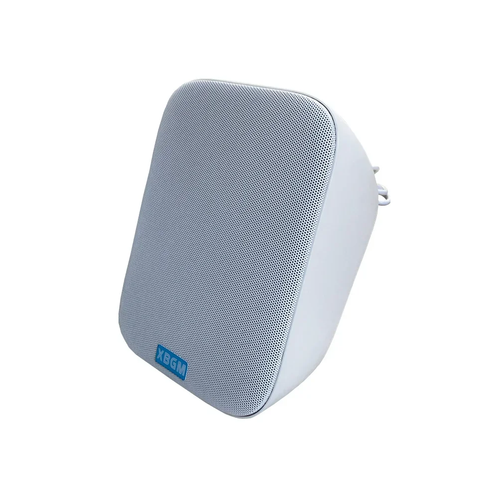 New Design PA System Fashion Wall-mounted Speaker School/shopping Mall/hotel/hospital/building 100v 10W