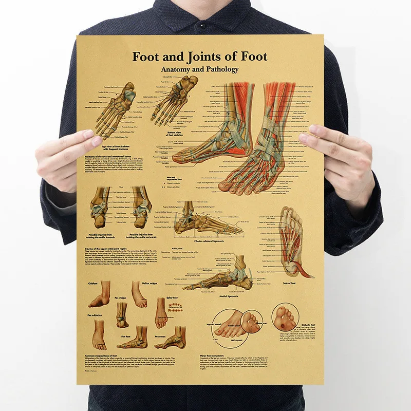 51X35Cm Het Skelet Van Het Lichaam Structuur Hersenen Zenuwstelsel Poster Medische Room Decor Schilderen Kraftpapier Vintage muursticker