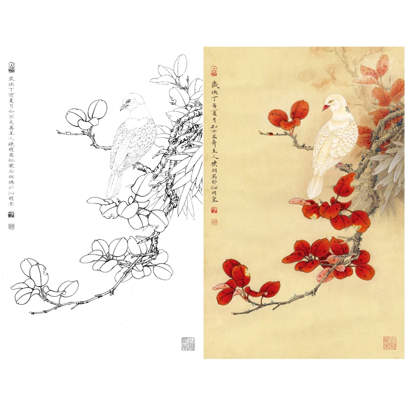 Meticulous Painting Line Drawing Manuscript Colorable Traditional Chinese Painting Ripe Xuan Paper Flowers and Birds Hook Line