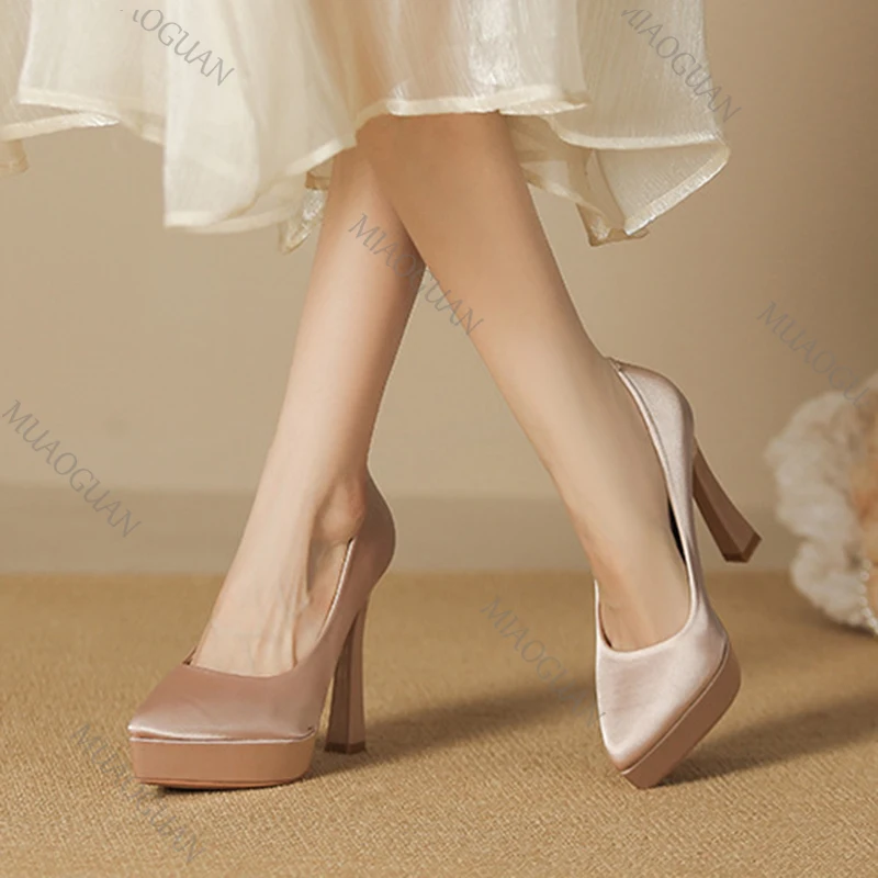 Platform Pumps for Women Stiletto Heels Satin Pointy Toe Sexy 10cm 12cm Ultra High Heels Spring Autumn Elegant Female Dress Shoe