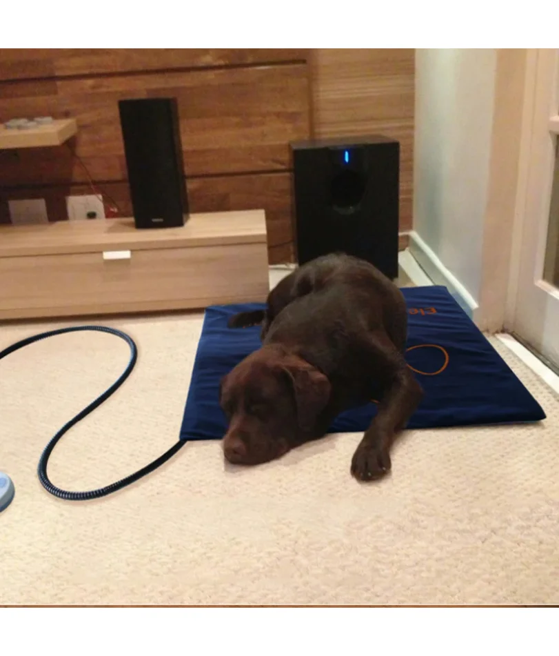 Thumbnail 3 - #42 Dog Sofa Beds List of Top Picks