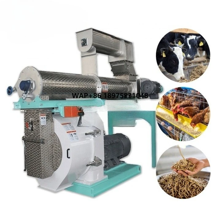 5-7 T/H Automatic Animal Pig Poultry Chicken Feed Production Equipment for Animal Food
