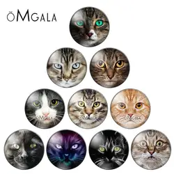New Cat Face Patterns 10pcs mixed 12mm/14mm/16mm/18mm/20mm/25mm Round photo glass cabochon flat back Making findings