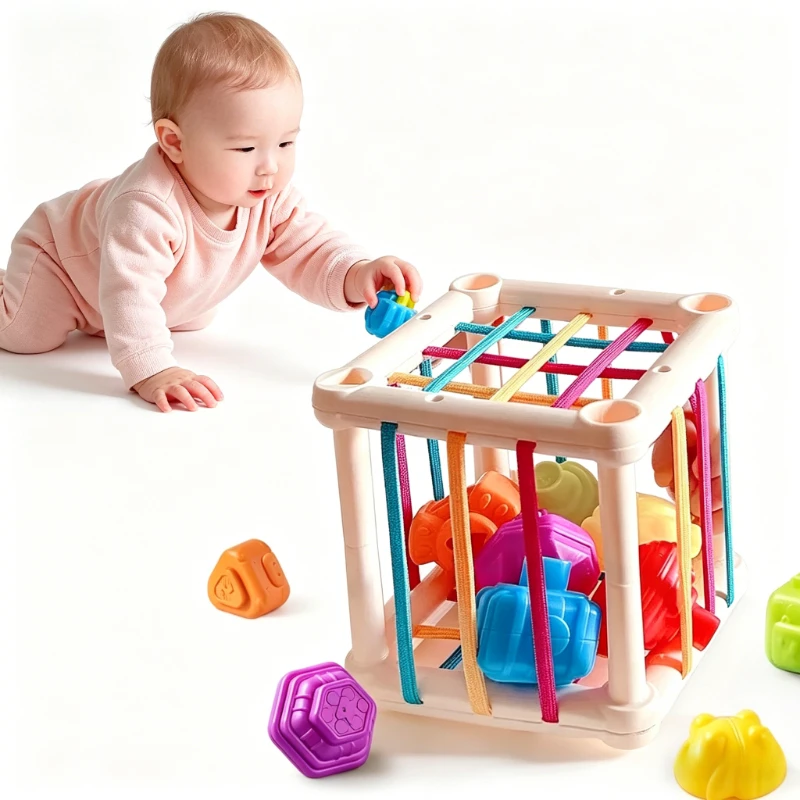 Fruit Cecele Shape Color Color Fruit Cognition Rainbow Cecele interactive game toy